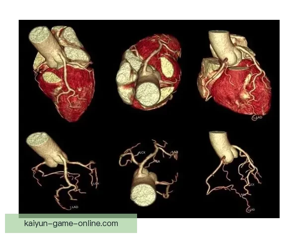 世界杯赛程竞猜与盘口深度解析策略全面指南