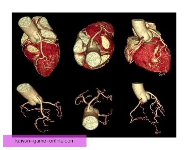 世界杯赛程竞猜与盘口深度解析策略全面指南